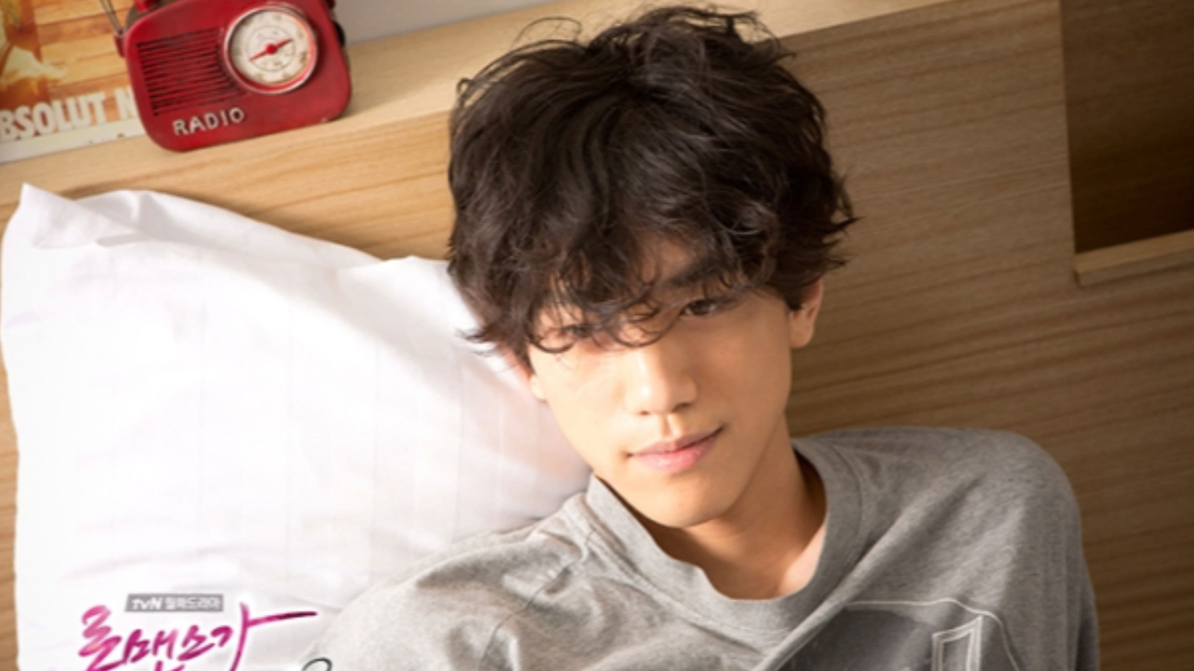 Poster of "I Need Romance"