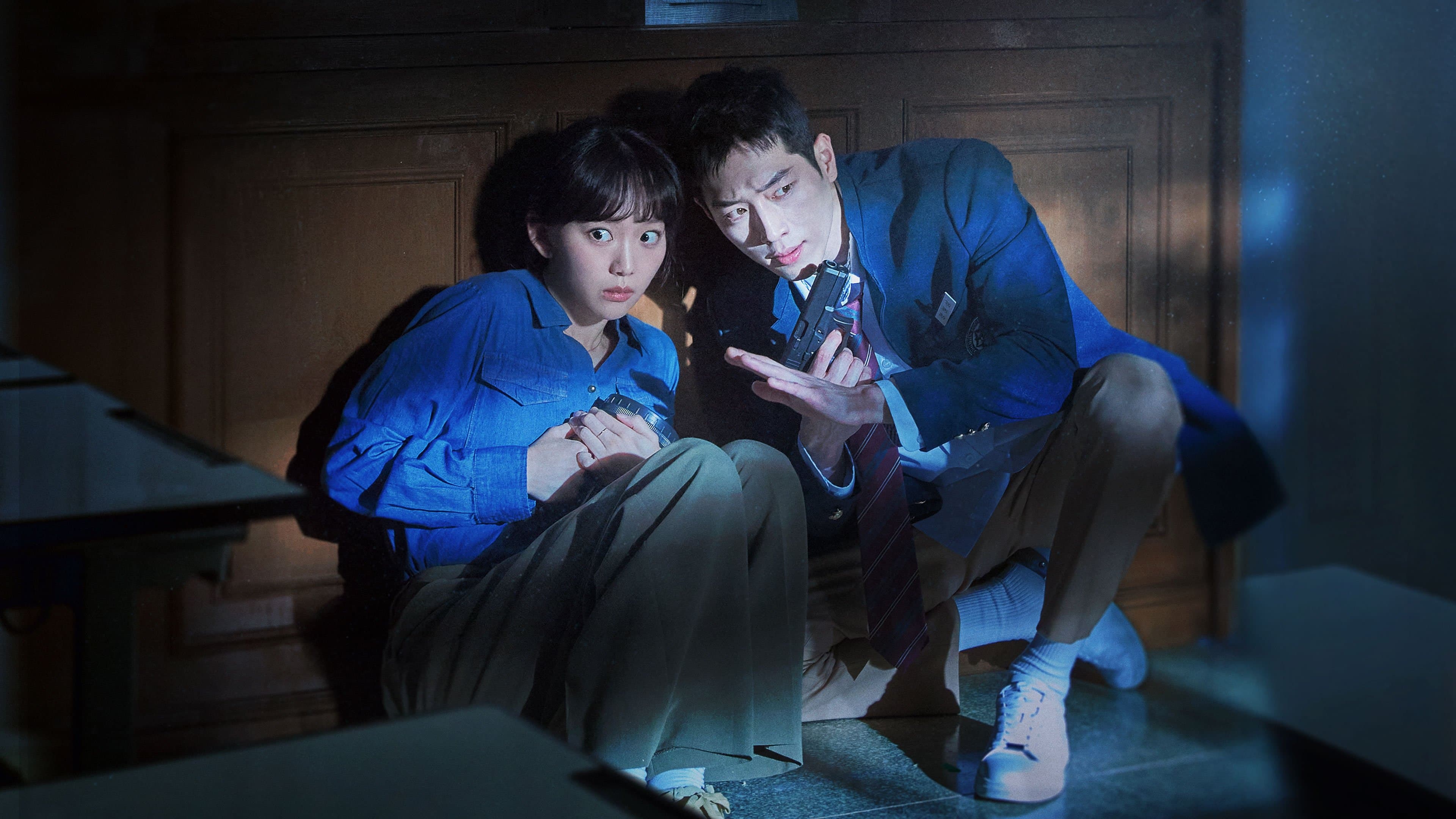 Poster of "Undercover High School"