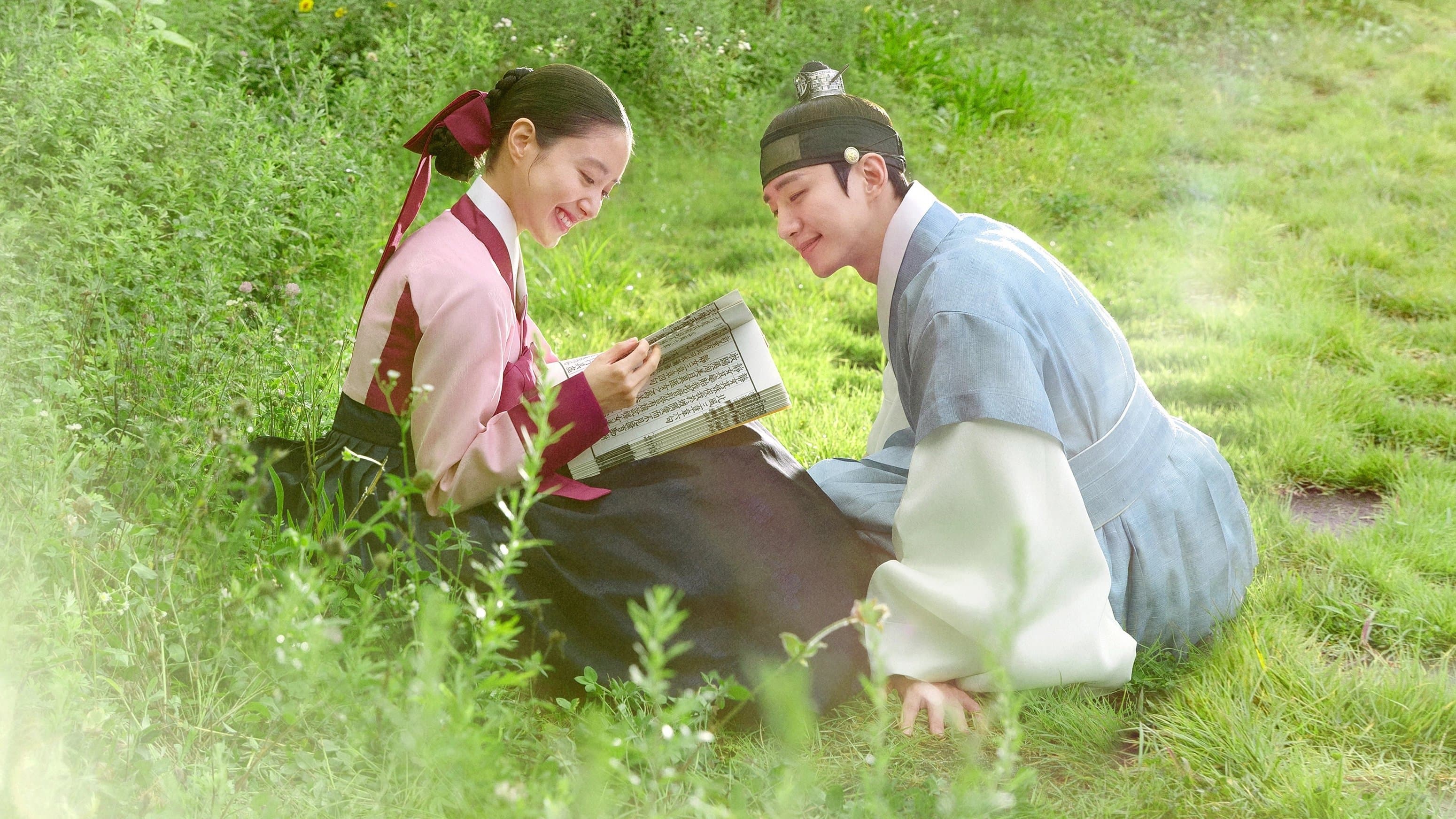 Poster of "The Red Sleeve"