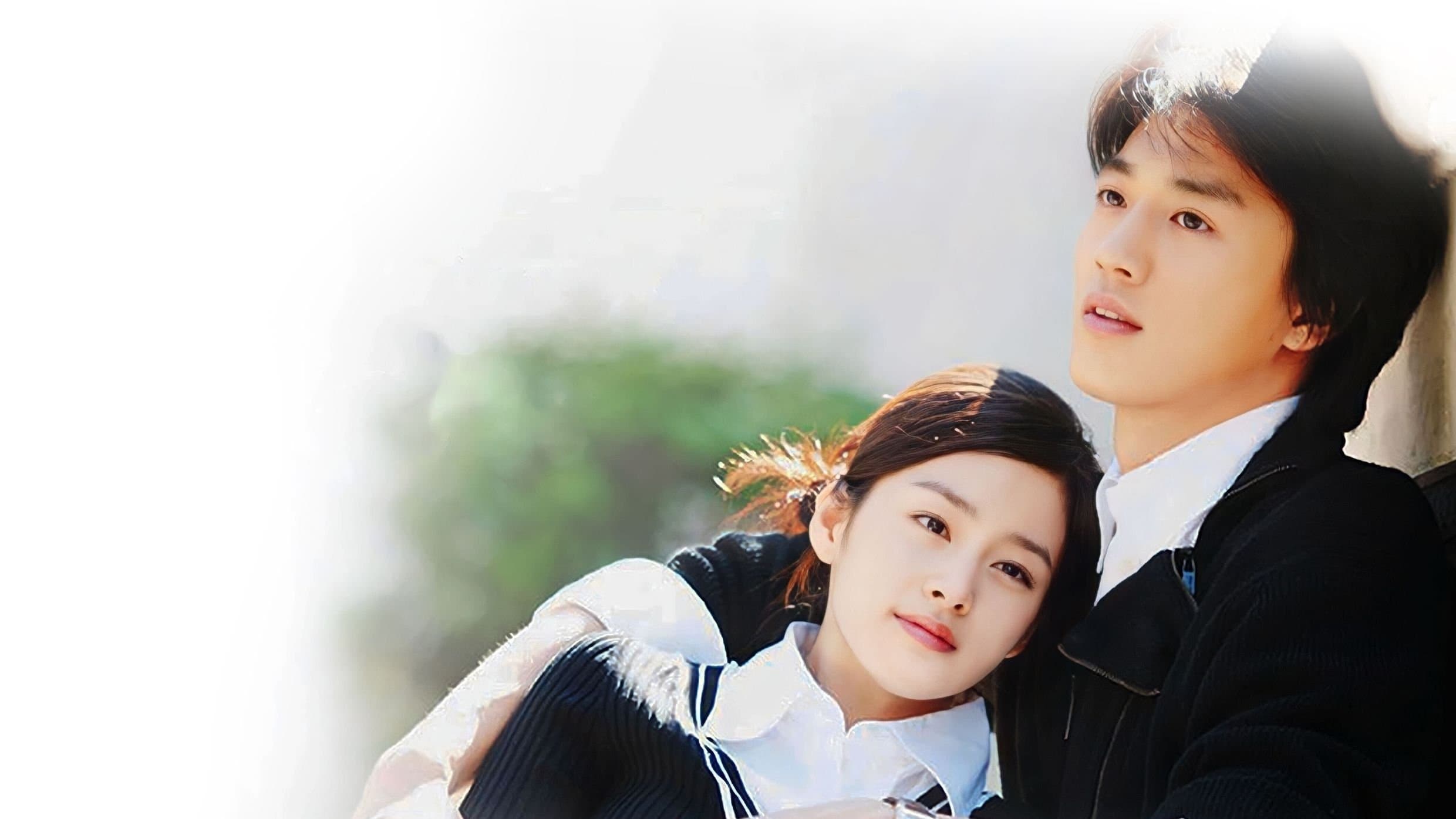 Poster of "Love Story in Harvard"